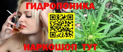spice Новокубанск