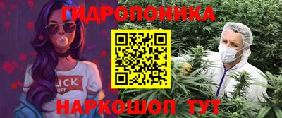 2c-b Новодвинск