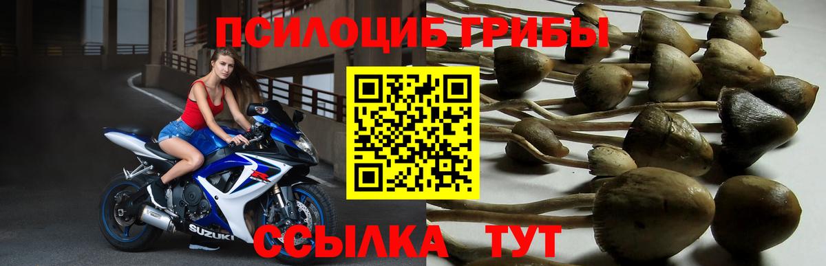 Галлюциногенные грибы мухоморы Спасск-Дальний