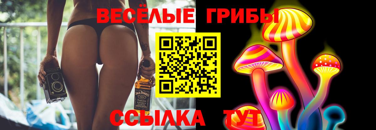 Псилоцибиновые грибы MAGIC MUSHROOMS  Вход с VPN  Спасск-Дальний 
